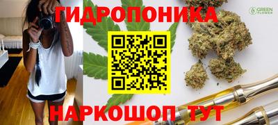 2c-b Будённовск