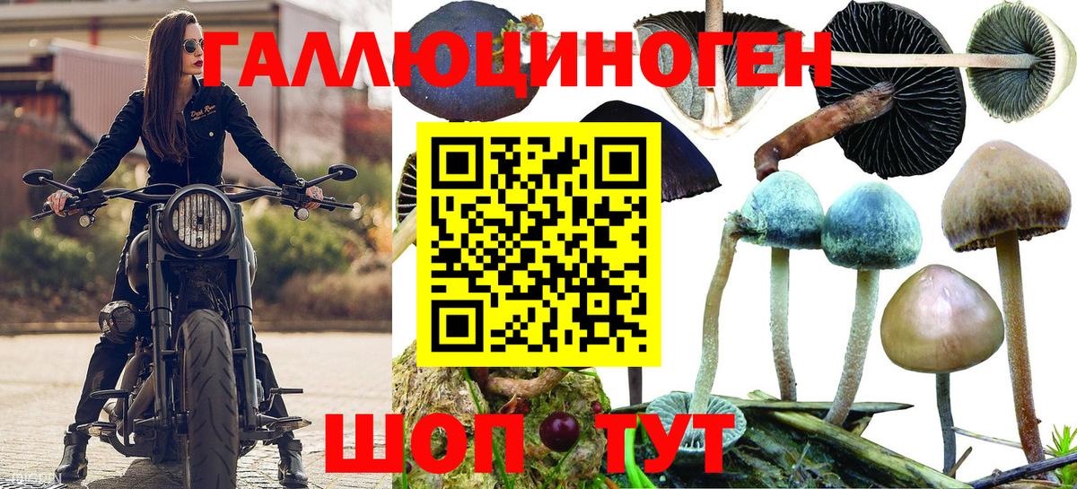 Псилоцибиновые грибы мицелий  Вход с VPN  Чапаевск 
