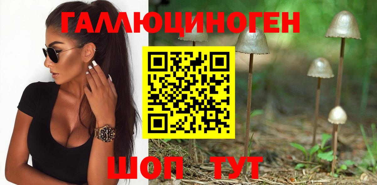 Галлюциногенные грибы Cubensis Чапаевск